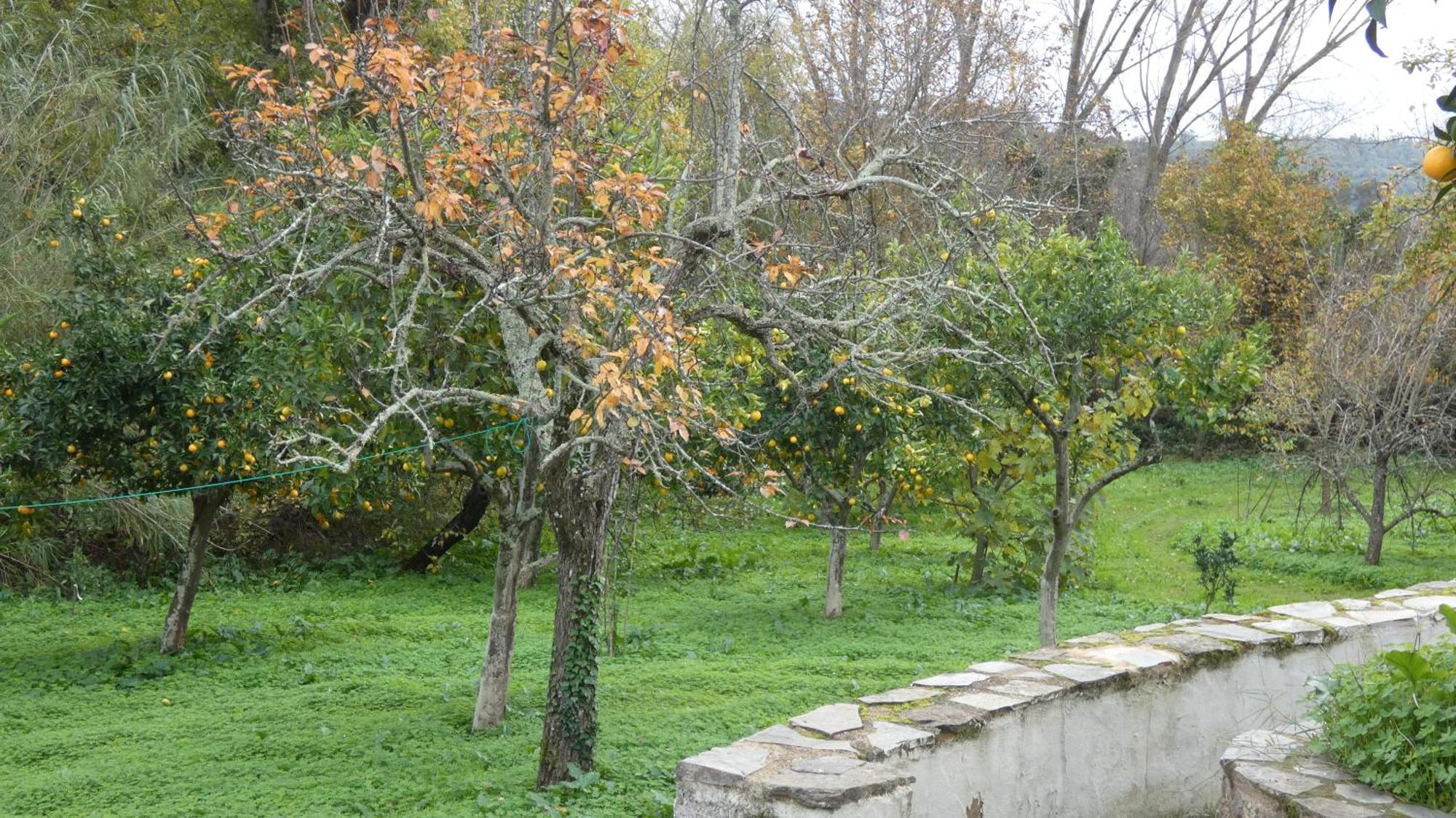 Casa Rural El Riandero 리나레스 데 라 시에라 외부 사진