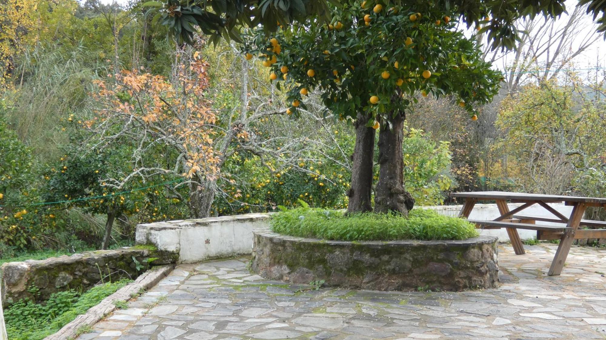 Casa Rural El Riandero 리나레스 데 라 시에라 외부 사진